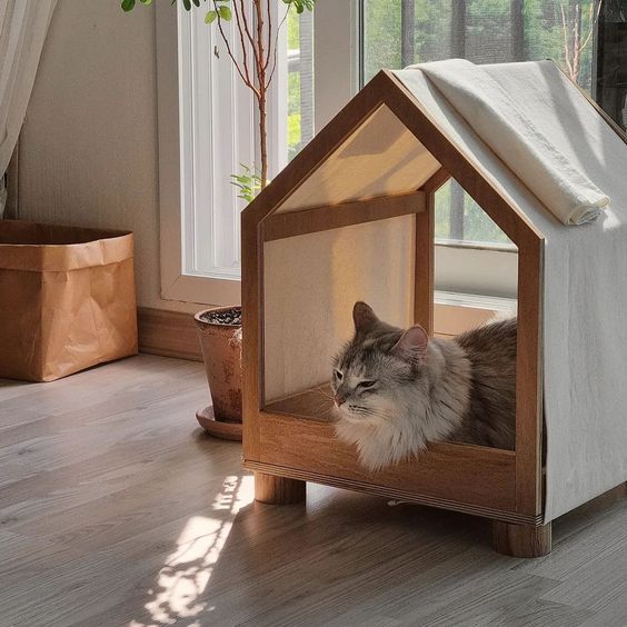 キャットハウス